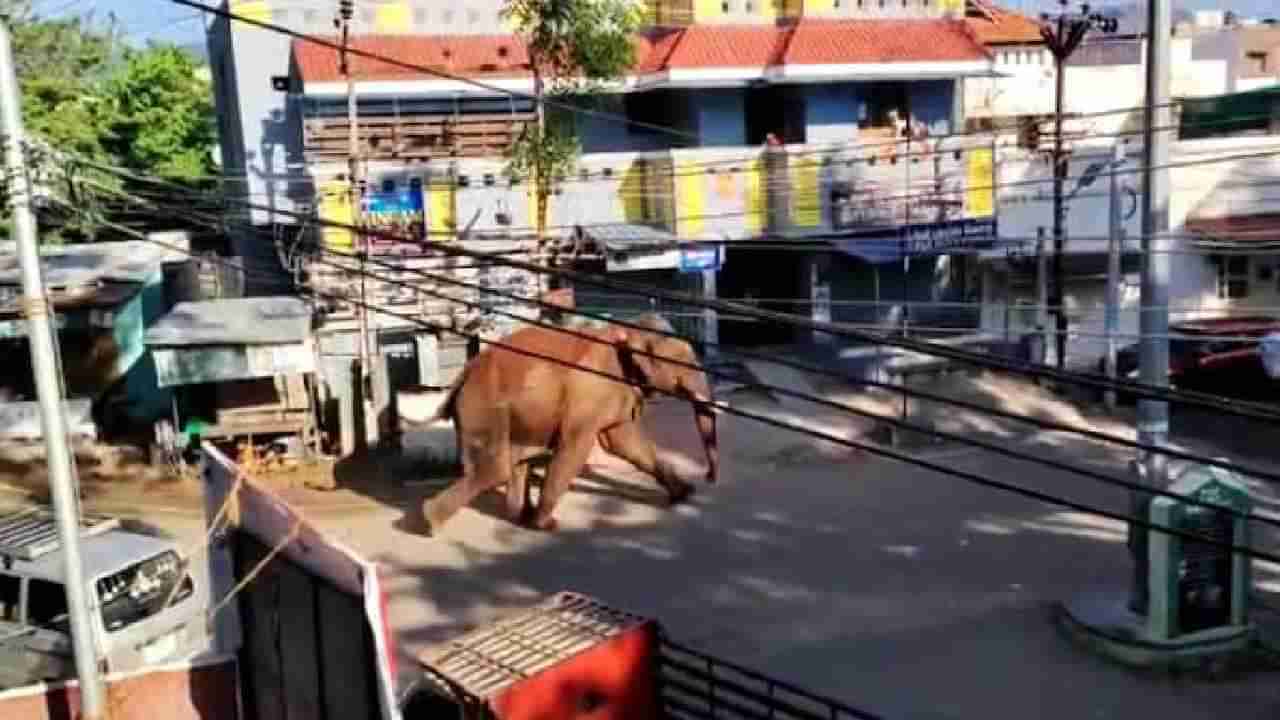 Elephant Attack: ತಮಿಳುನಾಡಿನಲ್ಲಿ ಕಾಡಾನೆ ಅರಿಕೊಂಬನ್’ ದಾಳಿಯಿಂದ ಗಾಯಗೊಂಡಿದ್ದ ವ್ಯಕ್ತಿ ಸಾವು