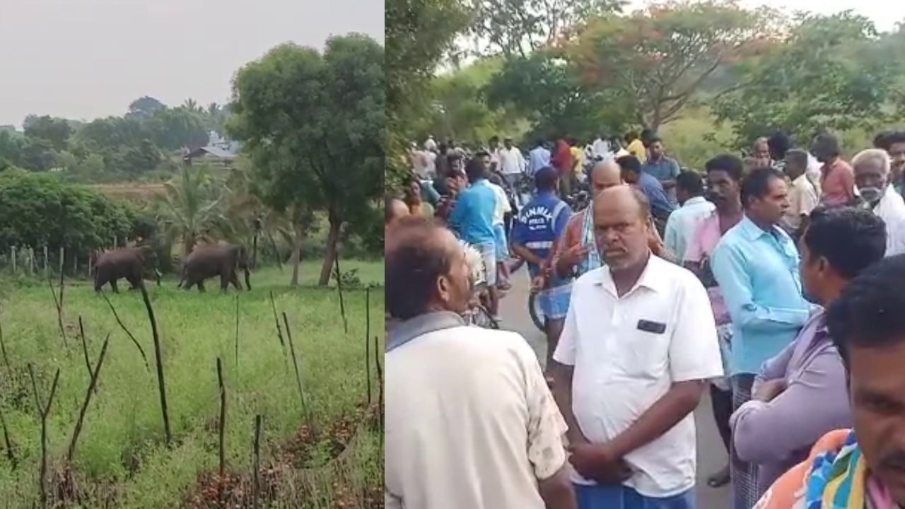 ಹೆಚ್ಚಾದ ಆನೆ ಹಾವಳಿ; ಕೋಲಾರ-ಆಂಧ್ರ ಗಡಿಯಲ್ಲಿ ಕಾಡಾನೆ ದಾಳಿಗೆ ಇಬ್ಬರು ಬಲಿ