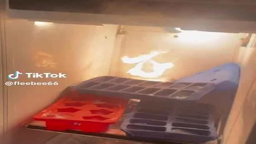Viral News: ಸೆಖೆ ಸೆಖೆ ಎಂದು ಫ್ರೀಜರ್ ಬಾಗಿಲು ತೆರೆದಾಗ ಸಿಕ್ಕಿದ್ದು ಐಸ್ಕ್ಯೂಬ್ಗಳಲ್ಲ ಬೆಂಕಿಯ ಉಂಡೆ
