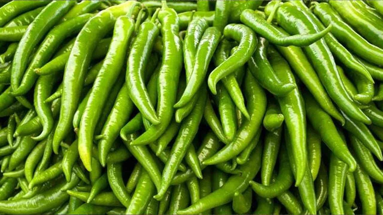 Green Chillies Benefits: ಹಸಿರು ಮೆಣಸು ತಿನ್ನುವುದರಿಂದ ತೂಕ ಕಡಿಮೆ ಮಾಡಬಹುದು, ಇತರೆ ಪ್ರಯೋಜನಗಳ ತಿಳಿಯಿರಿ