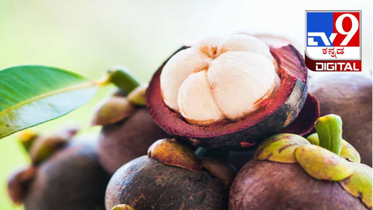 Kokum Fruit: ಬೇಸಿಗೆಯ ಸೂಪರ್ ಫ್ರೂಟ್ ಪುನರ್ಪುಳಿ, ಇದರಲ್ಲಿದೆ ಆರೋಗ್ಯ ಪ್ರಯೋಜನ Kokum Fruit: ಬೇಸಿಗೆಯ ಸೂಪರ್ ಫ್ರೂಟ್ ಪುನರ್ಪುಳಿ, ಇದರಲ್ಲಿದೆ ಆರೋಗ್ಯ ಪ್ರಯೋಜನ
