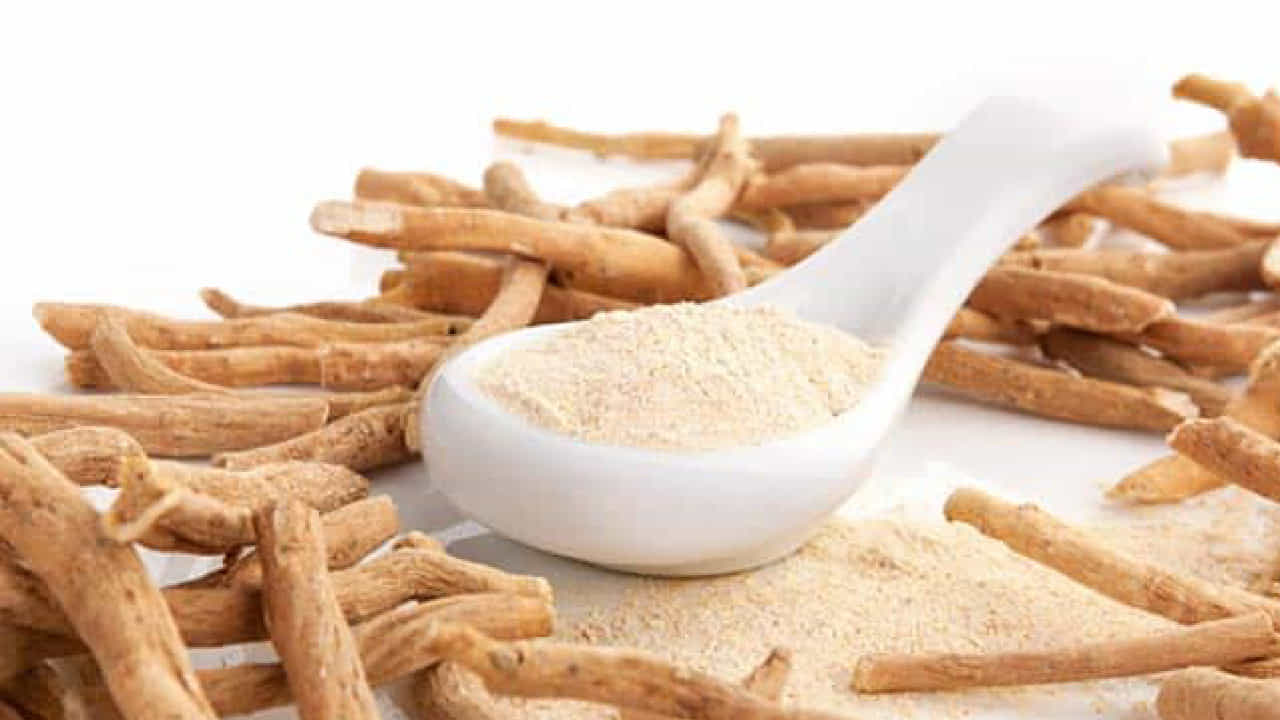 Ashwagandha: ಅಶ್ವಗಂಧದಿಂದ ಎಷ್ಟೆಲ್ಲಾ ಪ್ರಯೋಜನಗಳಿವೆ ಎಂದು ತಿಳಿದುಕೊಳ್ಳಿ Ashwagandha: ಅಶ್ವಗಂಧದಿಂದ ಎಷ್ಟೆಲ್ಲಾ ಪ್ರಯೋಜನಗಳಿವೆ ಎಂದು ತಿಳಿದುಕೊಳ್ಳಿ
