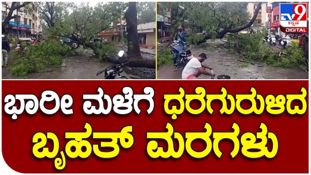 Hubballi Rain: ಮಟ ಮಟ ಮಧ್ಯಾಹ್ನ ಸುರಿದ ಧಾರಾಕಾರ ಮಳೆ: ಧರೆಗುರುಳಿದ ಬೃಹತ್ ಮರಗಳು