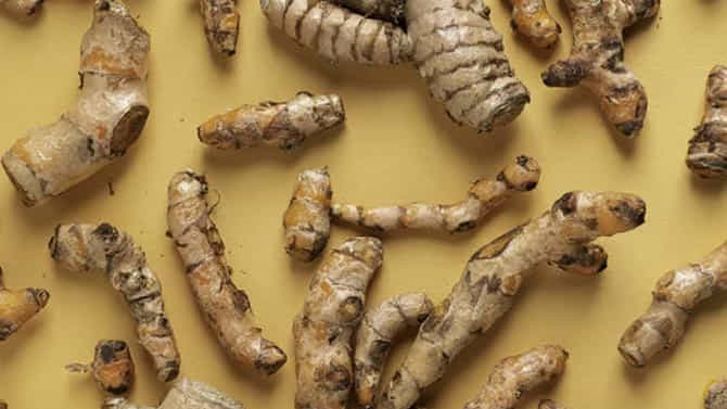 White Turmeric: ಬಿಳಿ ಅರಿಶಿನದ ಆರೋಗ್ಯ ಪ್ರಯೋಜನಗಳನ್ನು ತಿಳಿದುಕೊಳ್ಳಿ