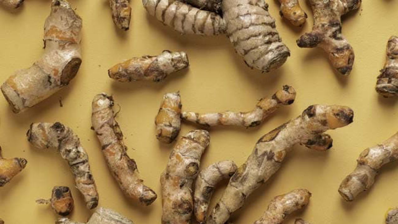 White Turmeric: ಬಿಳಿ ಅರಿಶಿನದ ಆರೋಗ್ಯ ಪ್ರಯೋಜನಗಳನ್ನು ತಿಳಿದುಕೊಳ್ಳಿ