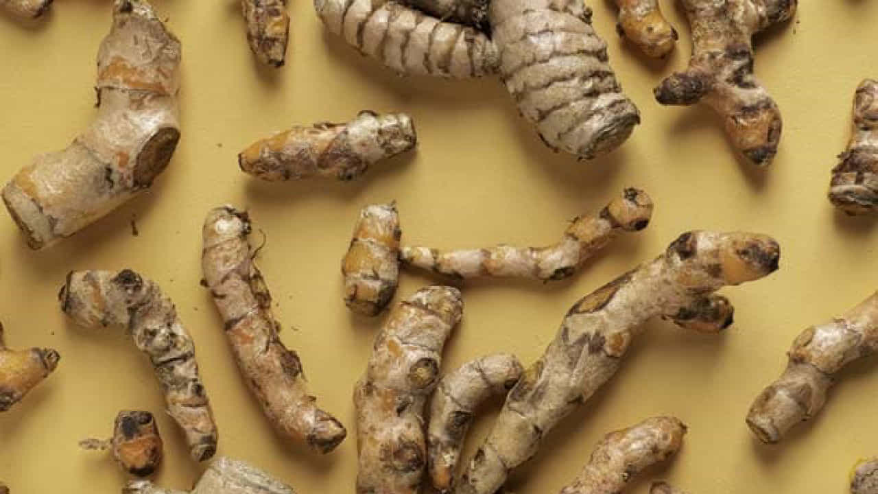 White Turmeric: ಬಿಳಿ ಅರಿಶಿನದ ಆರೋಗ್ಯ ಪ್ರಯೋಜನಗಳನ್ನು ತಿಳಿದುಕೊಳ್ಳಿ White Turmeric: ಬಿಳಿ ಅರಿಶಿನದ ಆರೋಗ್ಯ ಪ್ರಯೋಜನಗಳನ್ನು ತಿಳಿದುಕೊಳ್ಳಿ