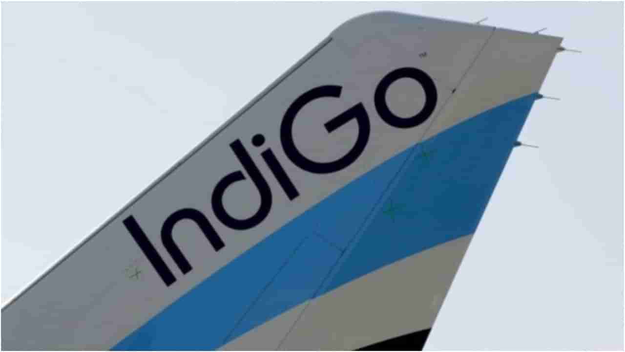 IndiGo Flight ಕ್ಯಾಬಿನ್​ನಲ್ಲಿ ಹೊಗೆ; ಸಿಂಗಾಪುರಕ್ಕೆ ತೆರಳುತ್ತಿದ್ದ ಇಂಡಿಗೋ ವಿಮಾನ ಇಂಡೋನೇಷ್ಯಾದಲ್ಲಿ ತುರ್ತು ಭೂಸ್ಪರ್ಶ