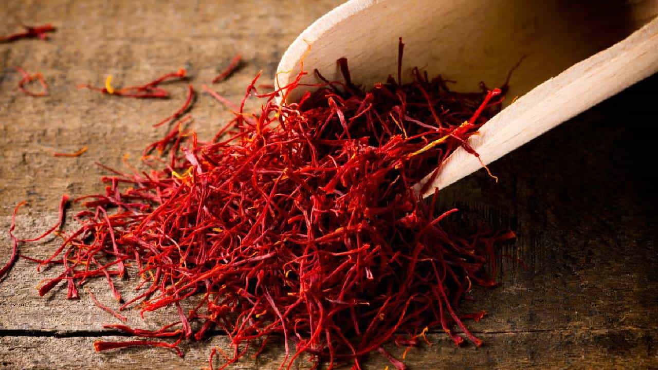 Saffron: ಕೇಸರಿಯ ಆಯುರ್ವೇದ ಪ್ರಯೋಜನಗಳ ಜೊತೆ ಗಮನಿಸಬೇಕಾದ ಅಡ್ಡ ಪರಿಣಾಮಗಳು Saffron: ಕೇಸರಿಯ ಆಯುರ್ವೇದ ಪ್ರಯೋಜನಗಳ ಜೊತೆ ಗಮನಿಸಬೇಕಾದ ಅಡ್ಡ ಪರಿಣಾಮಗಳು