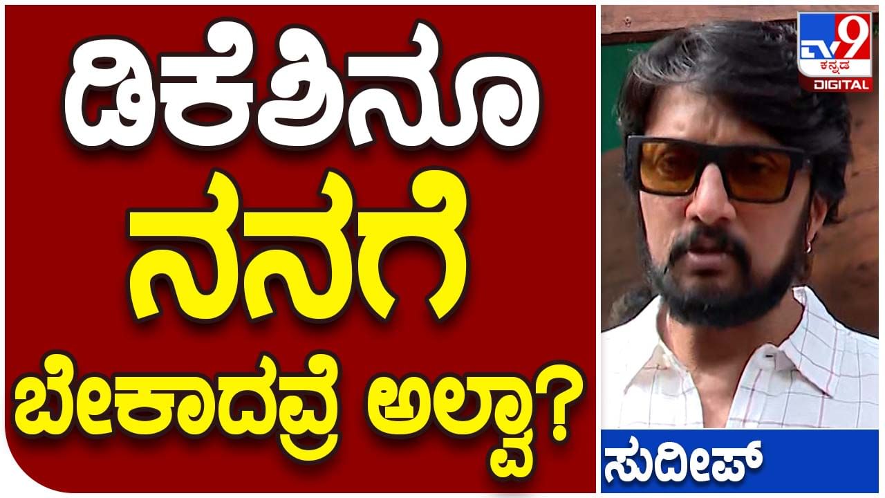 Karnataka Assembly Polls; ಬಿಜೆಪಿ ಪರ ಪ್ರಚಾರ ಮಾಡುತ್ತಿರುವುದರಿಂದ ಬೇರೆ ಪಕ್ಷದ ನಾಯಕರೊಂದಿಗಿನ ನನ್ನ ಸಂಬಂಧ ಹಳಸಲಾರದು: ಸುದೀಪ್