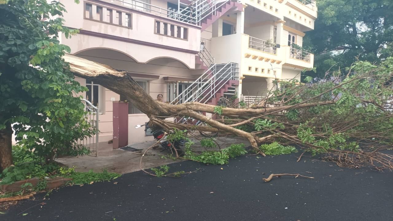 Mysuru Rains latest news updates pre monsoon rain damage and deaths weather forecast