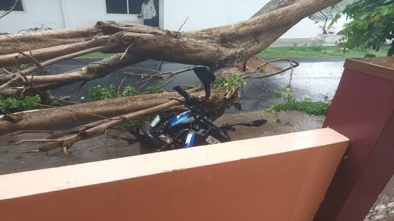 Mysuru Rains latest news updates pre monsoon rain damage and deaths weather forecast