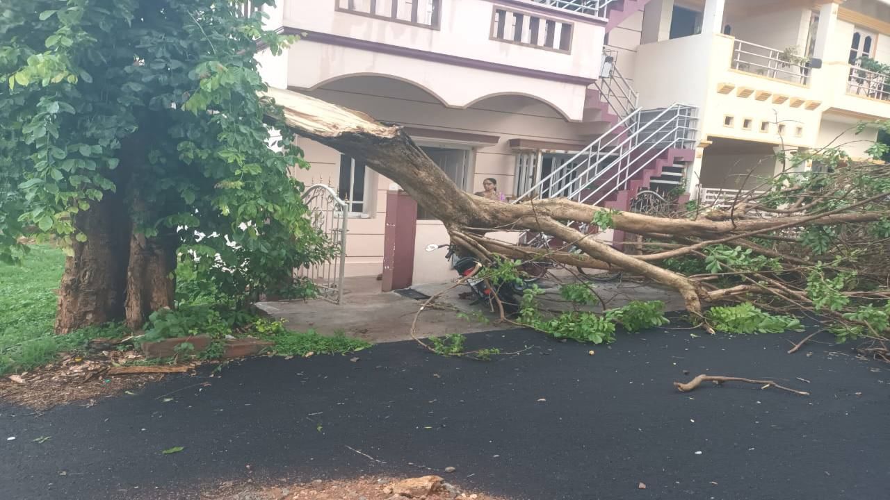 Mysuru Rains latest news updates pre monsoon rain damage and deaths weather forecast