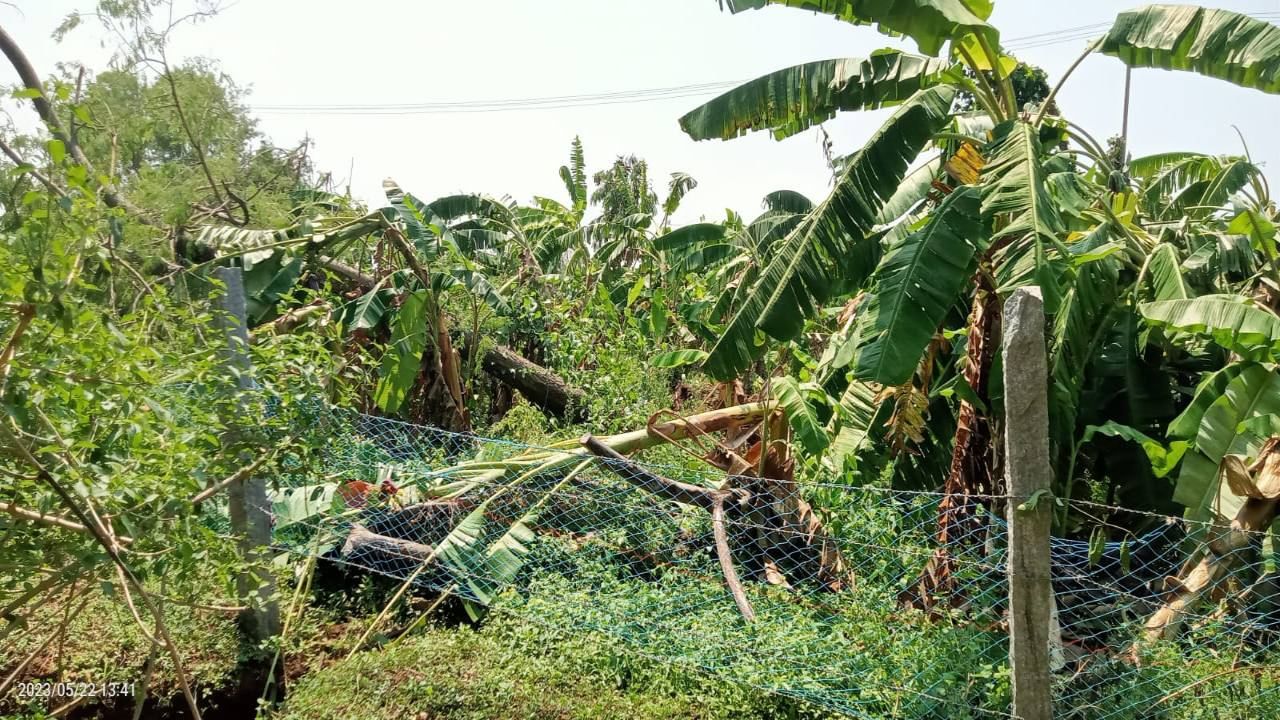 Karnataka Rains: ಮುಂಗಾರು ಪೂರ್ವ ಮಳೆಗೆ ಈ ವರ್ಷ ರಾಜ್ಯದಲ್ಲಿ 52 ಮಂದಿ ಸಾವು; ಕಳೆದ ವರ್ಷ ಮೃತಪಟ್ಟವರೆಷ್ಟು?