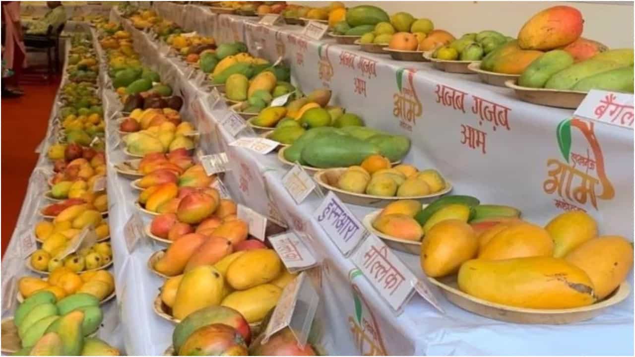 Lalbagh Mango Mela: ಜೂನ್ 2 ರಿಂದ 11ರ ವರೆಗೆ ಲಾಲ್ಬಾಗ್ನಲ್ಲಿ ಮಾವು ಮೇಳ Lalbagh Mango Mela: ಜೂನ್ 2 ರಿಂದ 11ರ ವರೆಗೆ ಲಾಲ್ಬಾಗ್ನಲ್ಲಿ ಮಾವು ಮೇಳ