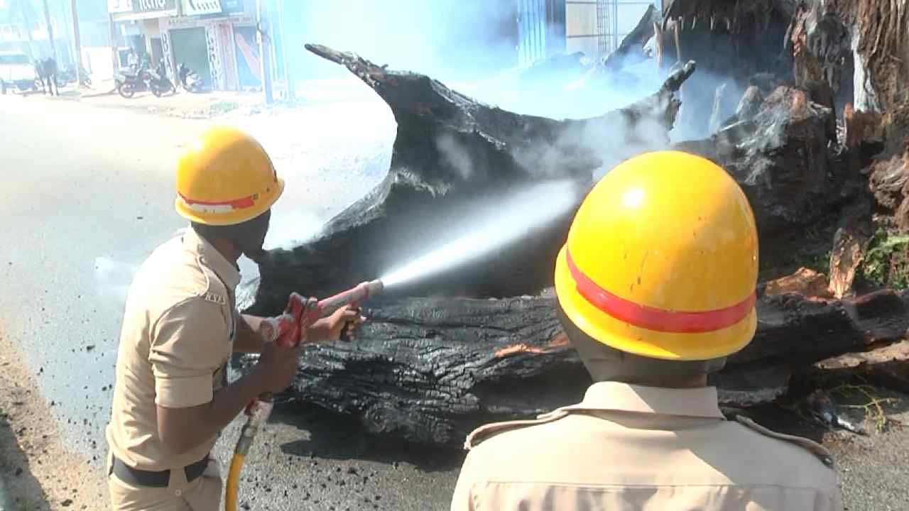 Miscreants set fire to tree trunk in Chikkaballapura tree that has been burning for three days
