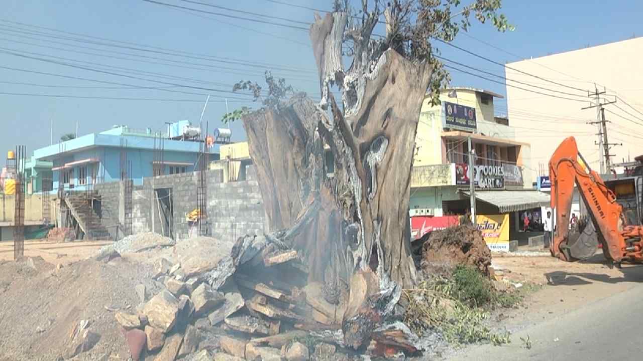 Miscreants set fire to tree trunk in Chikkaballapura tree that has been burning for three days
