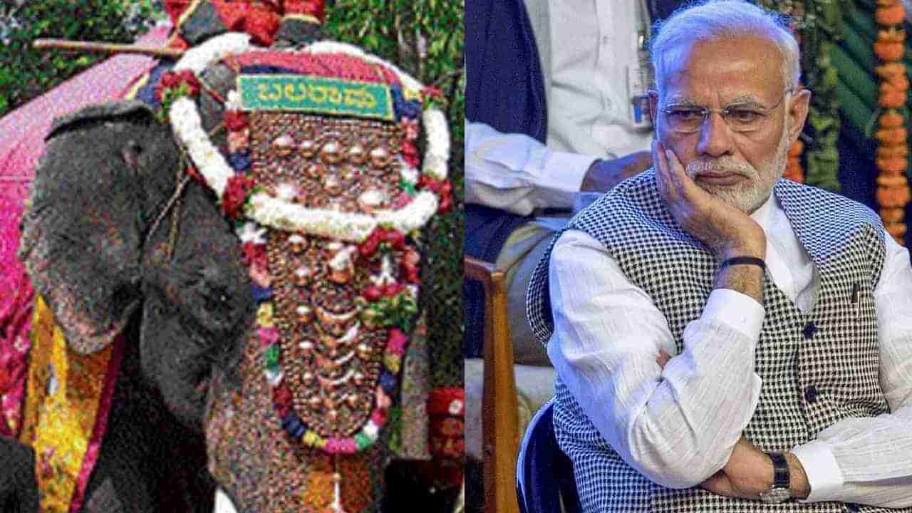 14 ಬಾರಿ ಅಂಬಾರಿ ಹೊತ್ತಿದ್ದ ಬಲರಾಮ ನಿಧನ: ಕನ್ನಡದಲ್ಲೇ ಟ್ವೀಟ್ ಮಾಡಿ ಮೋದಿ ಸಂತಾಪ