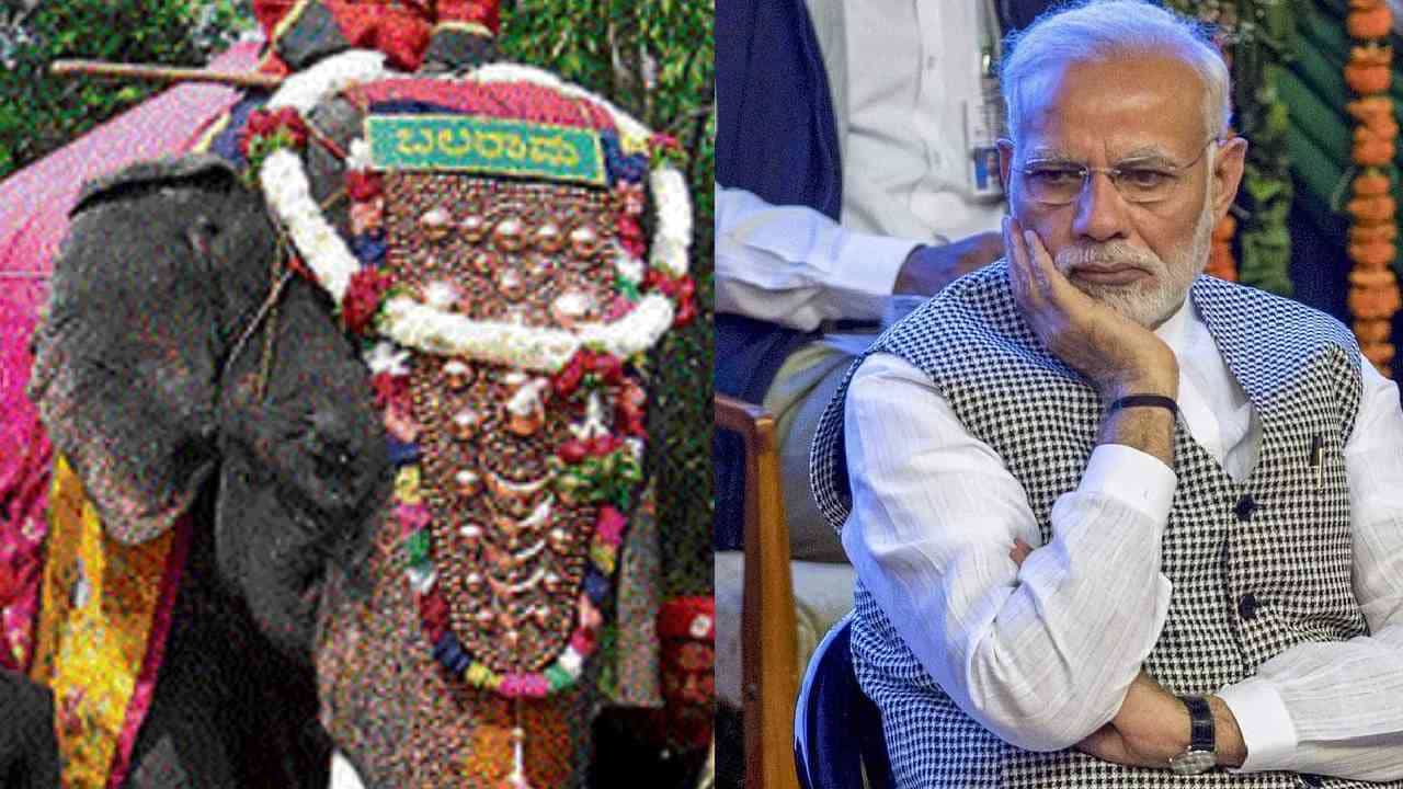 14 ಬಾರಿ ಅಂಬಾರಿ ಹೊತ್ತಿದ್ದ ಬಲರಾಮ ನಿಧನ: ಕನ್ನಡದಲ್ಲೇ ಟ್ವೀಟ್‌ ಮಾಡಿ ಮೋದಿ ಸಂತಾಪ