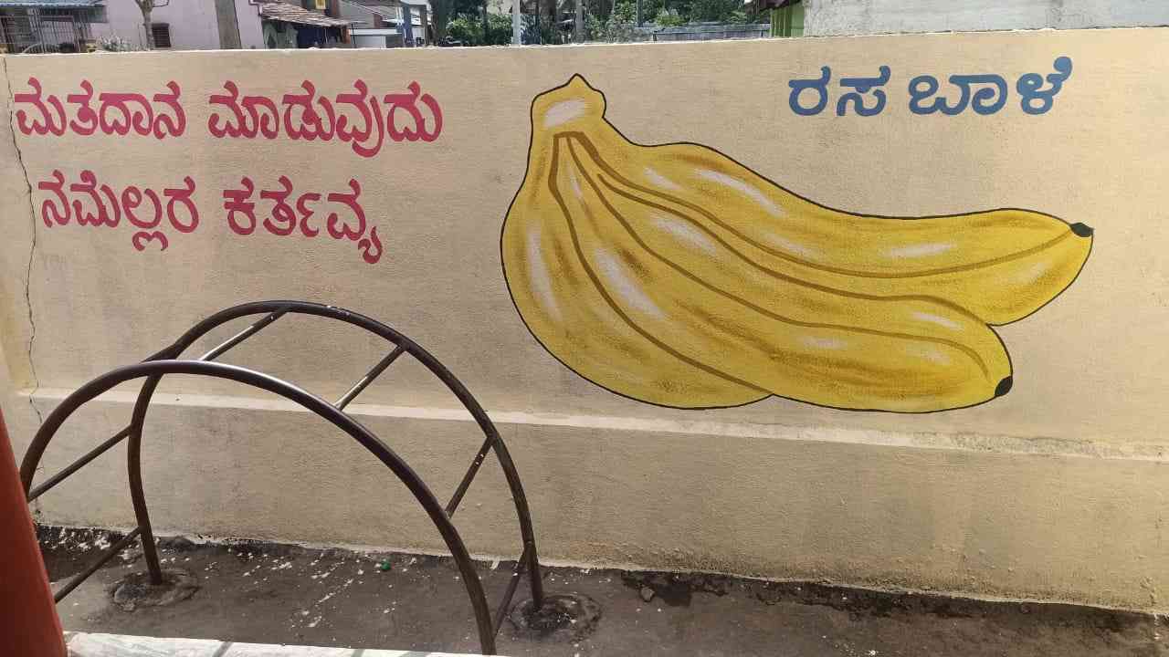 ಮತಗಟ್ಟೆಯಲ್ಲಿ ಮೈಸೂರು ರಸಬಾಳೆ ಚಿತ್ರ