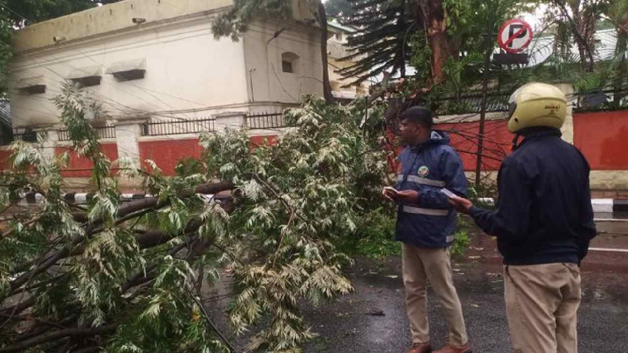 ಕಬ್ಬನ್ ರಸ್ತೆಯಲ್ಲಿ ರಸ್ತೆಗೆ ಅಡ್ಡವಾಗಿ ಬಿದ್ದಿದ್ದ ಮರವನ್ನು ತೆರವುಗೊಳಿಸಿ, ವಾಹನಗಳ ಸುಗಮ ಸಂಚಾರಕ್ಕೆ ಅನುವು ಮಾಡಿ ಕೊಡಲಾಗಿದೆ.