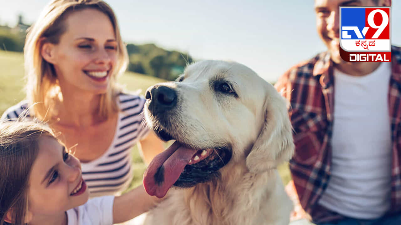 Dog Anxiety Awareness : ನಿಮ್ಮ ಮನೆಯಲ್ಲಿ ಸಾಕು ಪ್ರಾಣಿಗಳಿದ್ದರೆ, ಎಂದಿಗೂ ಈ 5 ತಪ್ಪುಗಳನ್ನು ಮಾಡದಿರಿ Dog Anxiety Awareness : ನಿಮ್ಮ ಮನೆಯಲ್ಲಿ ಸಾಕು ಪ್ರಾಣಿಗಳಿದ್ದರೆ, ಎಂದಿಗೂ ಈ 5 ತಪ್ಪುಗಳನ್ನು ಮಾಡದಿರಿ