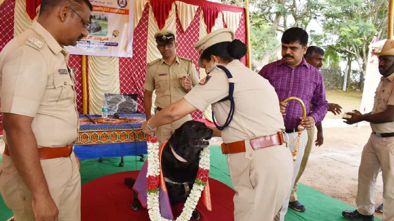 ಎಂಟು ವರ್ಷ ಶ್ವಾನದಳದಲ್ಲಿ ಕರ್ತವ್ಯ ನಿರ್ವಹಿಸಿ ನಿವೃತ್ತಿ ಹೊಂದಿದ ಏಂಜಲ್ಗೆ ಅದ್ದೂರಿ ಬೀಳ್ಕೊಡುಗೆ ಎಂಟು ವರ್ಷ ಶ್ವಾನದಳದಲ್ಲಿ ಕರ್ತವ್ಯ ನಿರ್ವಹಿಸಿ ನಿವೃತ್ತಿ ಹೊಂದಿದ ಏಂಜಲ್ಗೆ ಅದ್ದೂರಿ ಬೀಳ್ಕೊಡುಗೆ