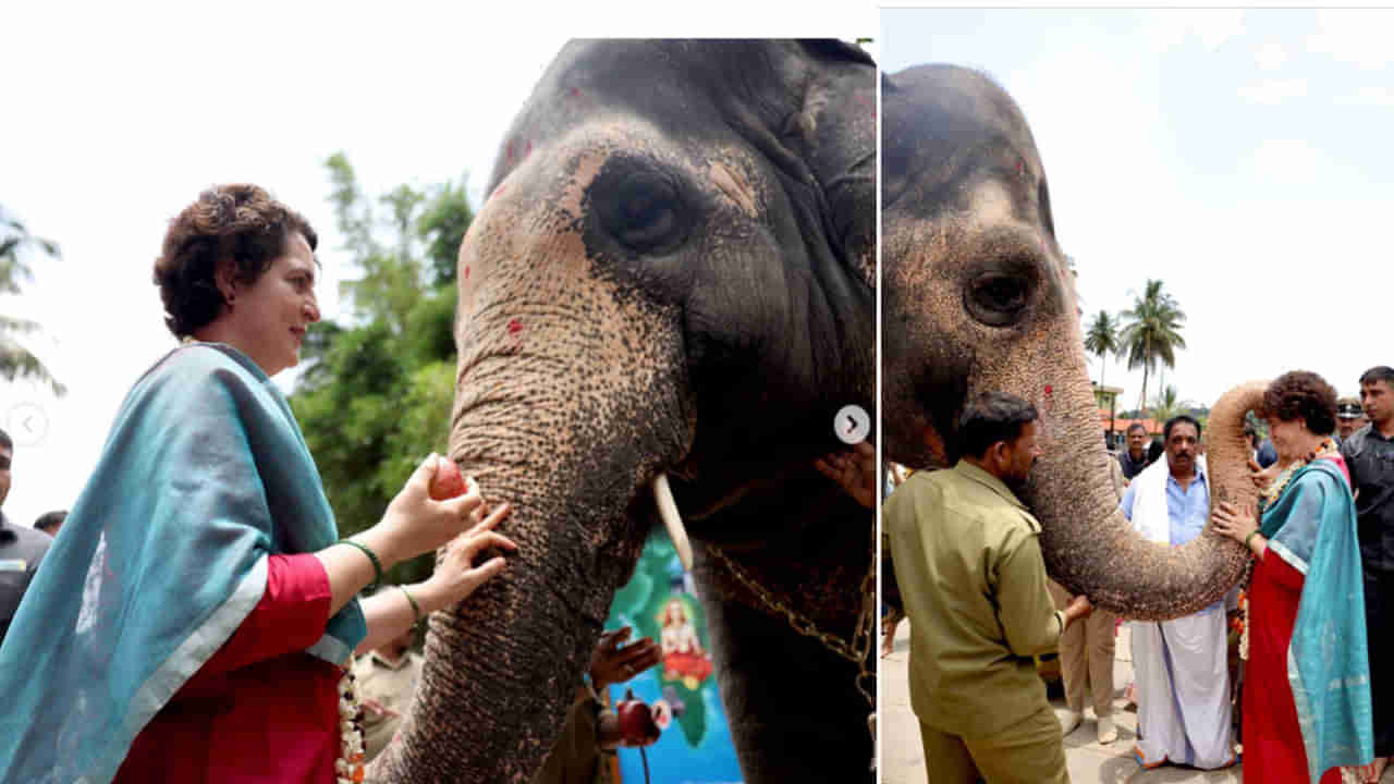 ಕರ್ನಾಟಕದಲ್ಲಿ ಸಿಕ್ಕಿದ ಹೊಸ ಸ್ನೇಹಿತರು; ಪ್ರಿಯಾಂಕಾ ಗಾಂಧಿ ಪೋಸ್ಟ್ ಮಾಡಿದ ಫೋಟೊಗೆ ನೆಟ್ಟಿಗರು ಫಿದಾ