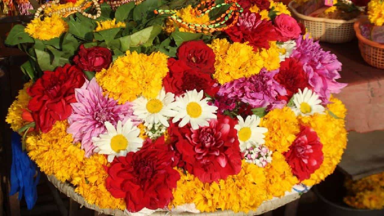 ಪುಷ್ಪ ಆಯುರ್ವೇದ ಎಂದರೇನು? ಆಯುರ್ವೇದ ಮೌಲ್ಯವನ್ನು ಹೊಂದಿರುವ 7 ಭಾರತೀಯ ಮನೆಯ ಹೂವುಗಳು ಪುಷ್ಪ ಆಯುರ್ವೇದ ಎಂದರೇನು? ಆಯುರ್ವೇದ ಮೌಲ್ಯವನ್ನು ಹೊಂದಿರುವ 7 ಭಾರತೀಯ ಮನೆಯ ಹೂವುಗಳು
