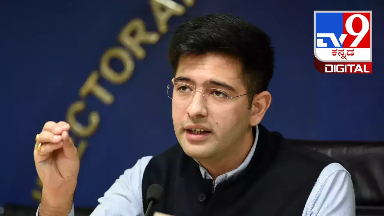 Raghav Chadha: ದೆಹಲಿ ಮದ್ಯ ನೀತಿ ಪ್ರಕರಣ, ಆರೋಪಪಟ್ಟಿಯಲ್ಲಿ ರಾಘವ್ ಚಡ್ಡಾ ಹೆಸರು