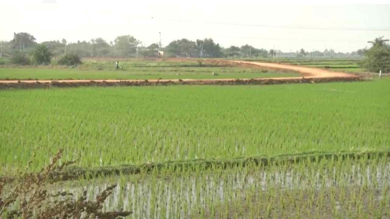 Raichur ranks first in india in agriculture and water resource development