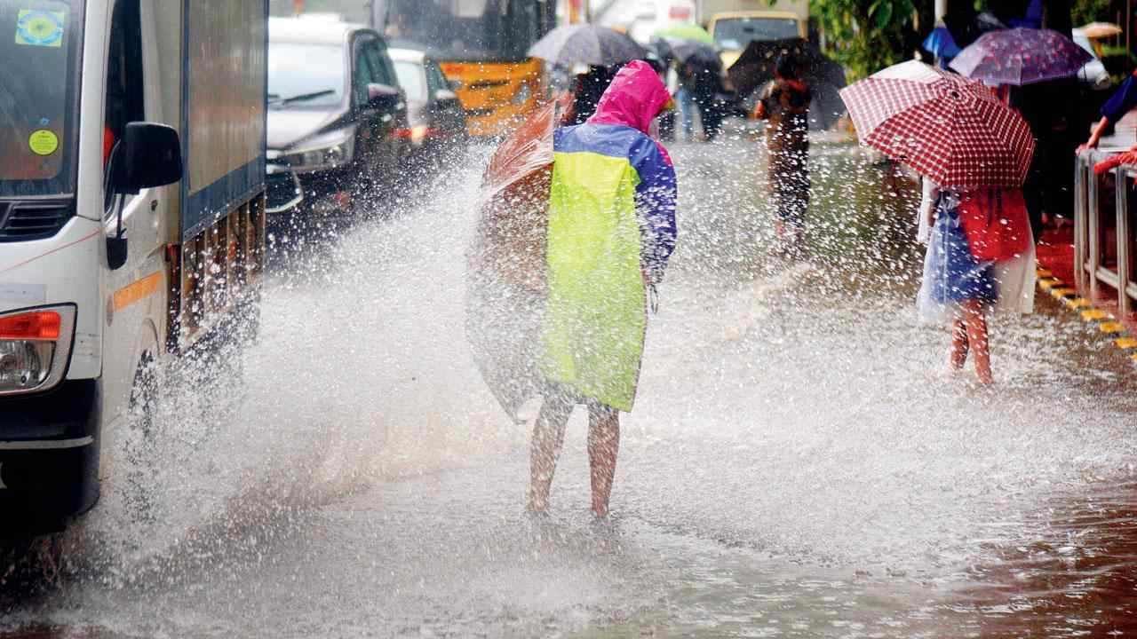 Karnataka Rains: ರಾಜ್ಯದ ಕರಾವಳಿಯ ದಕ್ಷಿಣ ಕನ್ನಡ, ದಕ್ಷಿಣ ಒಳನಾಡಿನ ಬೆಂಗಳೂರು, ಮಂಡ್ಯ, ಮೈಸೂರು ಸೇರಿದಂತೆ ಹಲವೆಡೆ ಮಳೆ