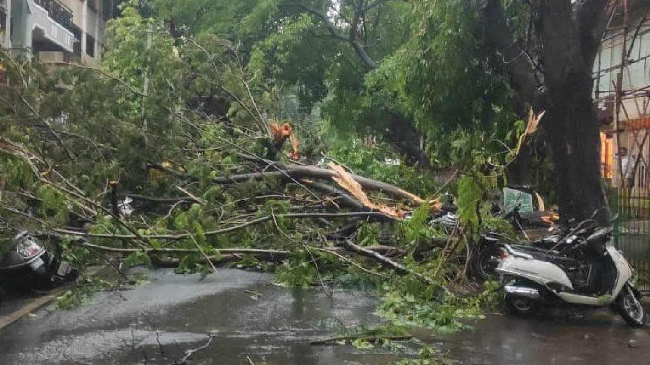 Karnataka Rains: ಮುಂದಿನ 24 ಗಂಟೆಗಳಲ್ಲಿ ಬೆಂಗಳೂರು, ಉಡುಪಿ, ದಕ್ಷಿಣ ಕನ್ನಡ ಸೇರಿ ರಾಜ್ಯದ 10 ಕ್ಕೂ ಅಧಿಕ ಜಿಲ್ಲೆಗಳಲ್ಲಿ ಗುಡುಗು ಸಹಿತ ಮಳೆ ಧಾರಾಕಾರ ಮಳೆ ಸಾಧ್ಯತೆ - Kannada News | Karnataka Rain: Heavy Rainfall will occur in more than 10 districts of karnataka in next 24 hours  | TV9 Kannada