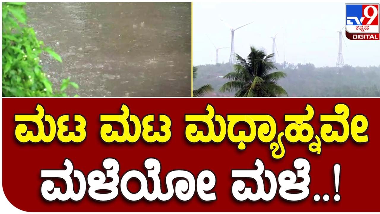 Rains in Chitradurga: ಬಿಸಿಲು ಮತ್ತು ಅಸಹನೀಯ ತಾಪಮಾನದಿಂದ ಬಸವಳಿದಿದ್ದ ಚಿತ್ರದುರ್ಗದಲ್ಲಿ ಮಳೆ, ಕೊಂಚ ನಿರಾಳರಾದ ಜನ