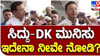 Video Viral: ತವಾಘಾಟ್-ಲಿಪುಲೇಖ್ ಹೆದ್ದಾರಿಯ ಗರ್ಬಾಧರ್‌ ಪರ್ವತ ಕುಸಿತ, ತಪ್ಪಿದ ಭಾರೀ ಅನಾಹುತ