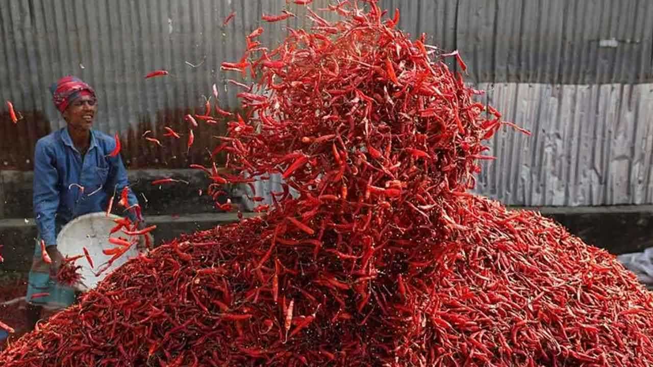 Red Chilli Side Effects: ಕೆಂಪು ಮೆಣಸಿನಕಾಯಿಯ ಅತಿಯಾದ ಸೇವನೆ ಈ ಆರೋಗ್ಯ ಸಮಸ್ಯೆಗಳಿಗೆ ಕಾರಣವಾಗಬಹುದು Red Chilli Side Effects: ಕೆಂಪು ಮೆಣಸಿನಕಾಯಿಯ ಅತಿಯಾದ ಸೇವನೆ ಈ ಆರೋಗ್ಯ ಸಮಸ್ಯೆಗಳಿಗೆ ಕಾರಣವಾಗಬಹುದು
