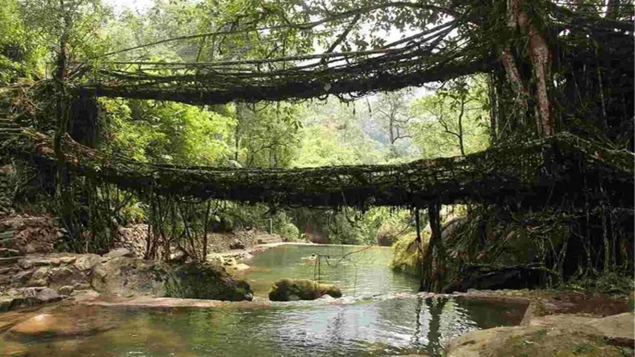 Living root bridge:  ಲಿವಿಂಗ್ ರೂಟ್ ಬ್ರಿಡ್ಜ್‌ಗಳು ಭಾರತದ ಮೇಘಾಲಯದಲ್ಲಿದೆ. ಲಿವಿಂಗ್ ರೂಟ್ ಬ್ರಿಡ್ಜ್‌ಗಳು ಮೇಘಾಲಯದ ಅತ್ಯಂತ ಸುಂದರವಾದ ಮತ್ತು ಸ್ಪಷ್ಟವಾದ ಪರಂಪರೆಯ ತಾಣಗಳಾಗಿವೆ. ಇವುಗಳನ್ನು ಇತ್ತೀಚೆಗೆ UNESCO ವಿಶ್ವ ಪರಂಪರೆಯ ಪಟ್ಟಿಯಲ್ಲಿ ಸೇರಿಸಲಾಗಿದೆ. (ಫೋಟೋ ಕ್ರೆಡಿಟ್: ವಿಕಿಮೀಡಿಯಾ ಕಾಮನ್ಸ್)  