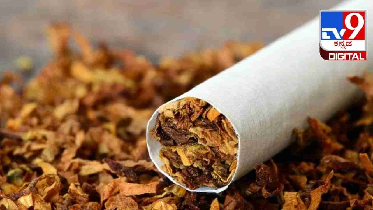 Tobacco: ತಂಬಾಕು ಸೇವನೆಯಿಂದ ಕೋವಿಡ್ ಇನ್ನಷ್ಟು ಜಟಿಲ? ಅಧ್ಯಯನ  ಹೇಳಿದ್ದೇನು?