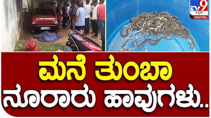 Snake Naresh: ಹಾವು ರಕ್ಷಿಸುತ್ತಿದ್ದವನ ಮನೆಯಲ್ಲಿದ್ದ ನೂರಾರು ಹಾವುಗಳನ್ನು ರಕ್ಷಿಸಿದ ಅರಣ್ಯ ಇಲಾಖೆ ಸಿಬ್ಬಂದಿ! Snake Naresh: ಹಾವು ರಕ್ಷಿಸುತ್ತಿದ್ದವನ ಮನೆಯಲ್ಲಿದ್ದ ನೂರಾರು ಹಾವುಗಳನ್ನು ರಕ್ಷಿಸಿದ ಅರಣ್ಯ ಇಲಾಖೆ ಸಿಬ್ಬಂದಿ!