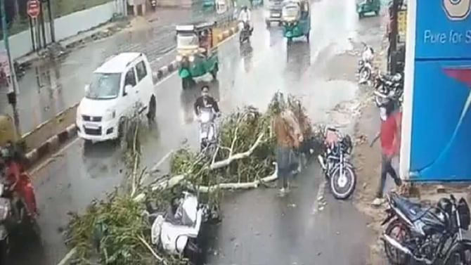 Viral Video: ಸ್ಕೂಟಿಯಲ್ಲಿ ಪ್ರಯಾಣಿಸುತ್ತಿದ್ದ ಮೂವರ ಮೇಲೆ ಅಚಾನಕ್ಕಾಗಿ ಬಿತ್ತು ಮರದ ರೆಂಬೆ Viral Video: ಸ್ಕೂಟಿಯಲ್ಲಿ ಪ್ರಯಾಣಿಸುತ್ತಿದ್ದ ಮೂವರ ಮೇಲೆ ಅಚಾನಕ್ಕಾಗಿ ಬಿತ್ತು ಮರದ ರೆಂಬೆ