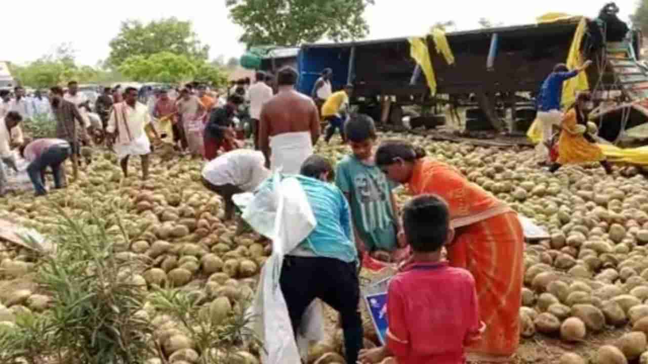 ತೆಂಗಿನಕಾಯಿ ಲೋಡ್ ಹೊತ್ತ ಲಾರಿ ಪಲ್ಟಿಯಾಯ್ತು, ಎಳನೀರು ಚೆಲ್ಲಾಪಿಲ್ಲಿ ಆಯ್ತು, ಮುಂದೇನಾಯ್ತು? ವಿಡಿಯೋ ನೋಡಿ!