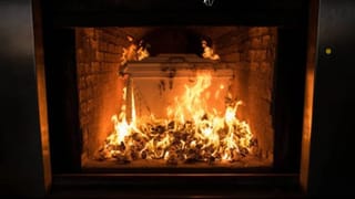 Cheetah: ಕೆಎನ್‌ಪಿ ಉದ್ಯಾನವನದಿಂದ ಮತ್ತೊಂದು ಚೀತಾ ಕಾಡಿಗೆ