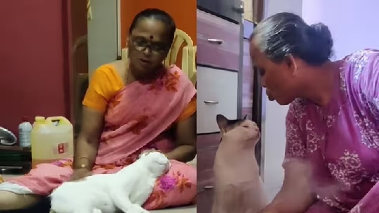 Viral Video: ಬೆಕ್ಕು ಮತ್ತು ಮಹಿಳೆಯ ನಡುವಿನ ಈ ಬಾಂಧವ್ಯಕ್ಕೆ ಸರಿಸಾಟಿ ಯಾವುದು ಇಲ್ಲ