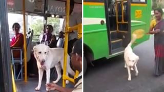 Viral Video: ಬ್ಯಾಲೆನ್ಸಡ್​ ಡಯೆಟ್ ಎಂದರೆ ಇದೇ ನೋಡಿ! ಇನ್ನು ನಿಶ್ಚಿಂತೆಯಿಂದಿದ್ದುಬಿಡಿ