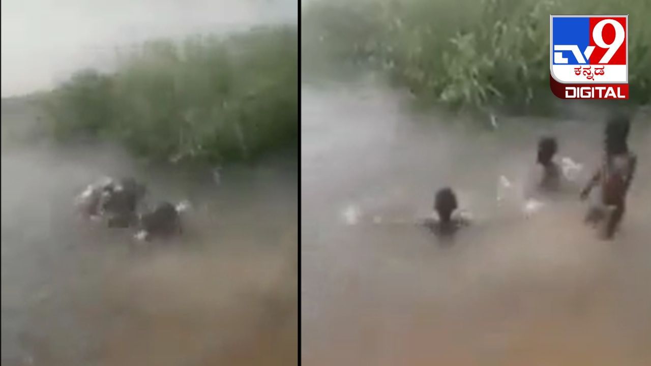 Viral Video: ನೀರಿನಲ್ಲಿ ಈಜುತ್ತಿದ್ದ ಬಾಲಕರತ್ತ ಬಂದ ನೀರಾನೆ, ಮುಂದೇನಾಯ್ತು ನೋಡಿ Viral Video: ನೀರಿನಲ್ಲಿ ಈಜುತ್ತಿದ್ದ ಬಾಲಕರತ್ತ ಬಂದ ನೀರಾನೆ, ಮುಂದೇನಾಯ್ತು ನೋಡಿ
