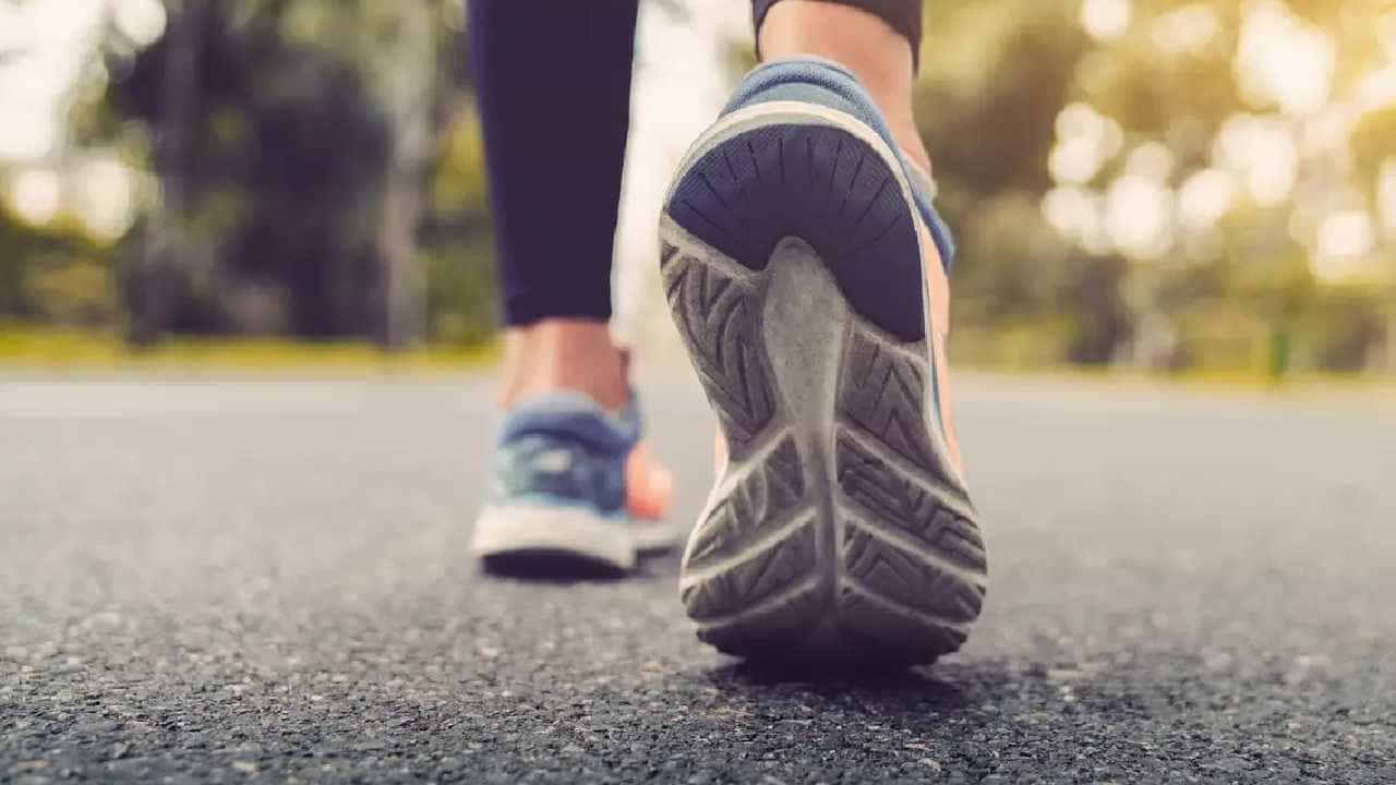 Walking Benefits: ವಾಕಿಂಗ್ ಮಾಡುವುದರಿಂದ ಏನು ಪ್ರಯೋಜನ? ನಿಮ್ಮ ದಿನಚರಿಯಲ್ಲಿ ಊಟದ ನಂತರ ನಡೆಯುವುದು ಏಕೆ ಉತ್ತಮ? ಇಲ್ಲಿದೆ ಮಾಹಿತಿ Walking Benefits: ವಾಕಿಂಗ್ ಮಾಡುವುದರಿಂದ ಏನು ಪ್ರಯೋಜನ? ನಿಮ್ಮ ದಿನಚರಿಯಲ್ಲಿ ಊಟದ ನಂತರ ನಡೆಯುವುದು ಏಕೆ ಉತ್ತಮ? ಇಲ್ಲಿದೆ ಮಾಹಿತಿ