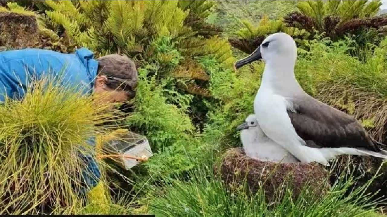 ಒಂದು ವರ್ಷಕ್ಕೆ ರೂ. 25 ಲಕ್ಷ ಗಳಿಸಲು ಬಯಸುವಿರಾ? ಬ್ರಿಟಿಷ್ ವನ್ಯಜೀವಿ ಗುಂಪು ನೀಡುತ್ತಿದೆ ವಿಭಿನ್ನ ಅವಕಾಶ ಒಂದು ವರ್ಷಕ್ಕೆ ರೂ. 25 ಲಕ್ಷ ಗಳಿಸಲು ಬಯಸುವಿರಾ? ಬ್ರಿಟಿಷ್ ವನ್ಯಜೀವಿ ಗುಂಪು ನೀಡುತ್ತಿದೆ ವಿಭಿನ್ನ ಅವಕಾಶ