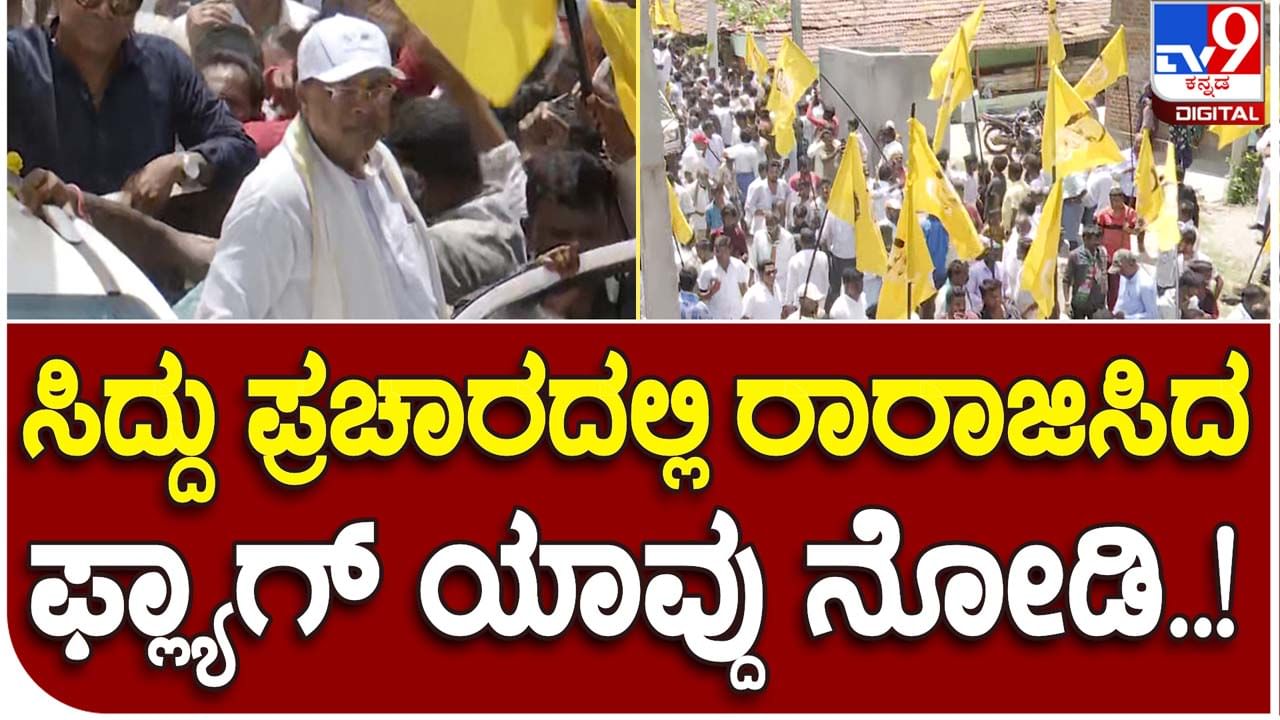 Karnataka Assembly Polls: ಸಿದ್ದರಾಮಯ್ಯ ಸ್ವಕ್ಷೇತ್ರ ವರುಣಾ ಪ್ರಚಾರದಲ್ಲಿ ಕಂಡಿದ್ದು ಅವರ ಫೋಟೋವಿದ್ದ ಹಳದಿ ಧ್ವಜಗಳು