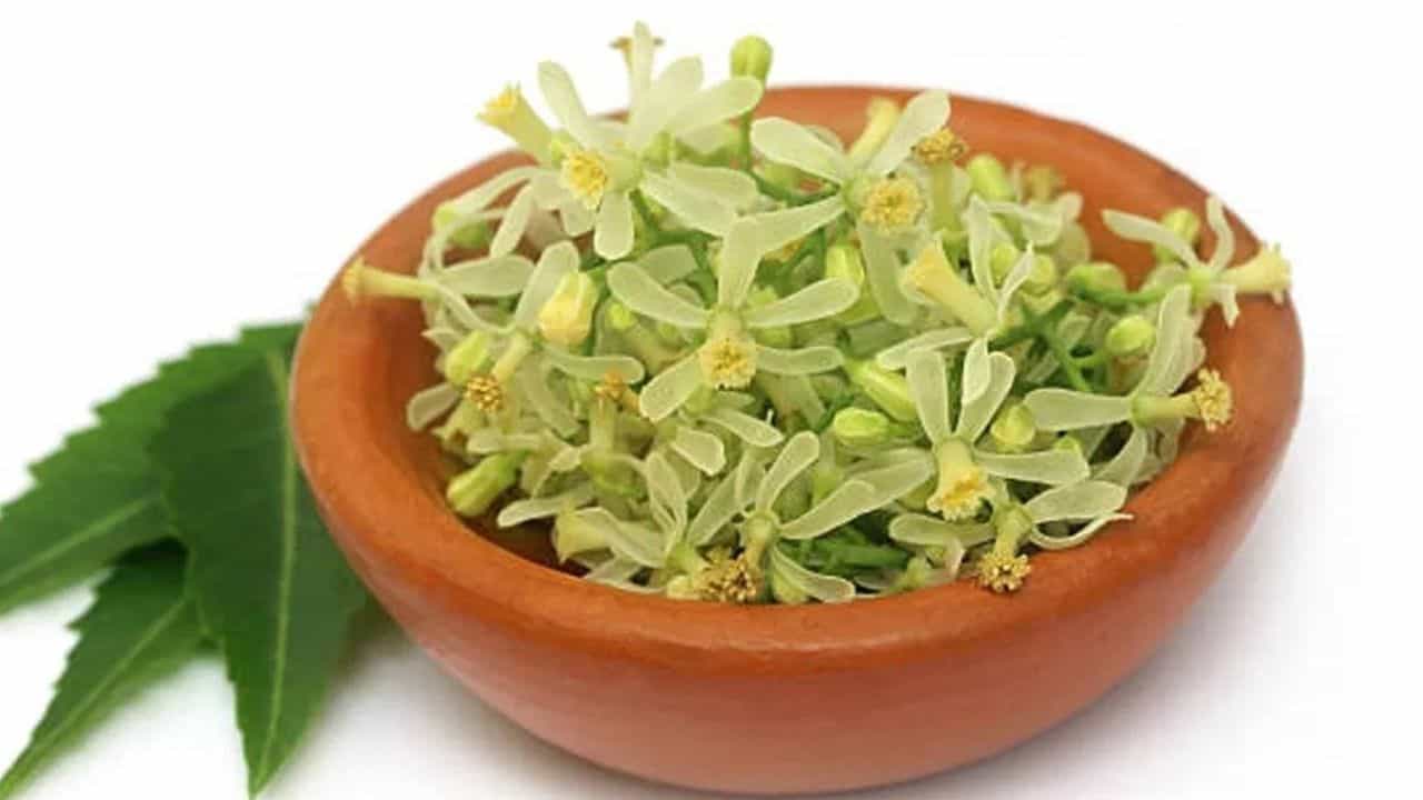 ಬೇವಿನ ಹೂವು ಹಲವಾರು ಔಷಧೀಯ ಗುಣಗಳನ್ನು ಹೊಂದಿವೆ. ರಕ್ತ ಶುದ್ಧೀಕರಣಕ್ಕಾಗಿ ದೇಹದಿಂದ ಕಲ್ಮಶಗಳನ್ನು ತೆಗೆದುಹಾಕಲು ಅವುಗಳನ್ನು ಬಳಸಲಾಗುತ್ತದೆ. ಬೇವಿನ ಹೂವುಗಳು ಕಹಿಯಾಗಿದ್ದರೂ ಅವುಗಳಿಂದ ತಯಾರಿಸಿದ ರಸವು ತುಂಬಾ ರುಚಿಕರವಾಗಿರುತ್ತದೆ. ಬೇಸಿಗೆಯಲ್ಲಿ ಅರಳುವ ಬೇವಿನ ಎಲೆಗಳು ಮತ್ತು ಹೂವುಗಳನ್ನು ಸಂಗ್ರಹಿಸಿ ಸಂರಕ್ಷಿಸಿದರೆ ಬೇವಿನ ಔಷಧೀಯ ಪ್ರಯೋಜನಗಳನ್ನು ವರ್ಷವಿಡೀ ಪಡೆಯಬಹುದು.