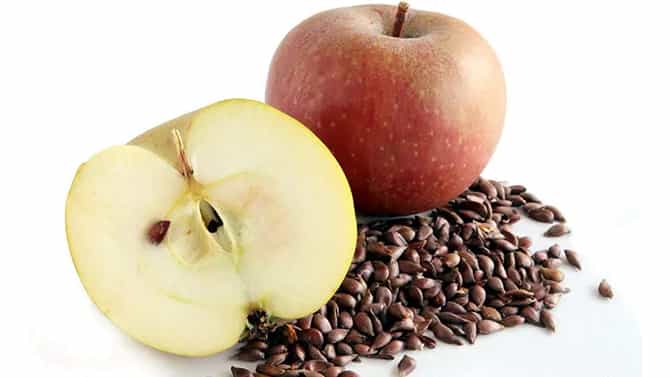 Apple Seeds: ಸೇಬು ಹಣ್ಣಿನೊಂದಿಗೆ ಬೀಜಗಳನ್ನು ತಿನ್ನುತ್ತಿದ್ದೀರಾ? ಹಾಗಾದ್ರೆ ಅಪಾಯ ತಪ್ಪಿದ್ದಲ್ಲ
