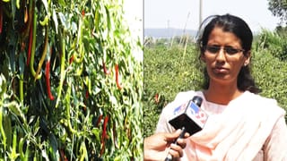 Karnataka Rains: ಮೇ 30ರವರೆಗೆ ದಕ್ಷಿಣ ಒಳನಾಡು ಹಾಗೂ ಕರಾವಳಿಯ ಬಹುತೇಕ ಜಿಲ್ಲೆಗಳಲ್ಲಿ ಭಾರಿ ಮಳೆ